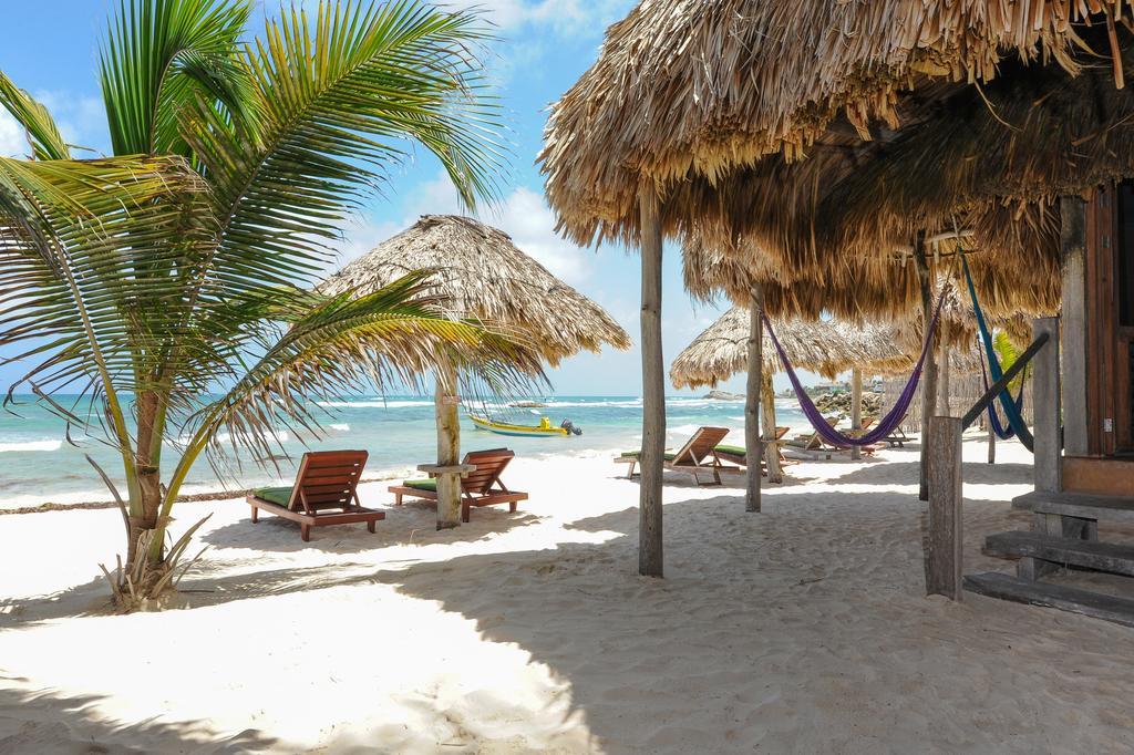 Zamas Hotel Tulum Rum bild