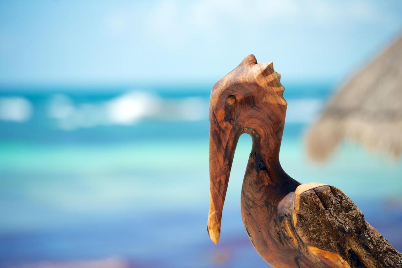 Zamas Hotel Tulum Rum bild